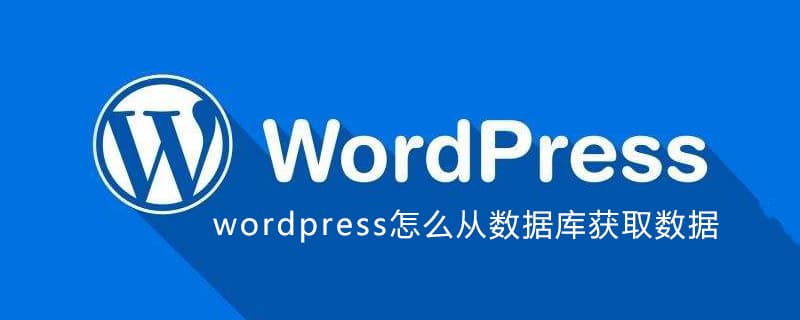 wordpress怎么读取数据库里数据